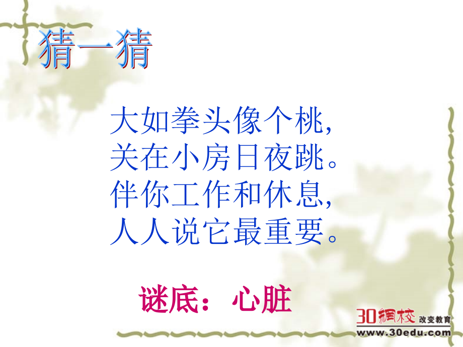 小学五年级科学上册《心脏和血液循环》.ppt_第2页