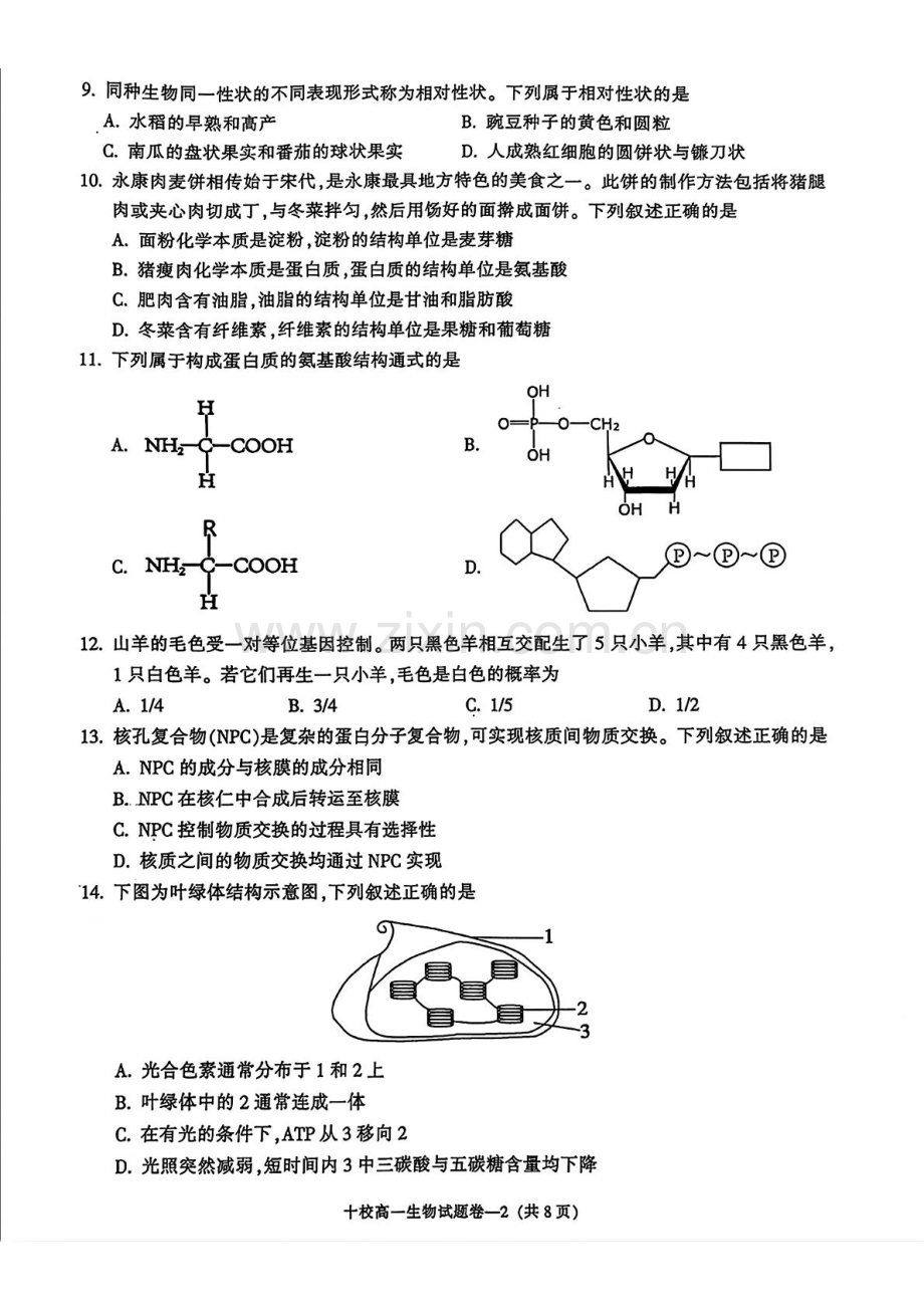 浙江省金华十校2024-2025学年高一上学期期末调研考试 生物 PDF版含答案.pdf_第2页