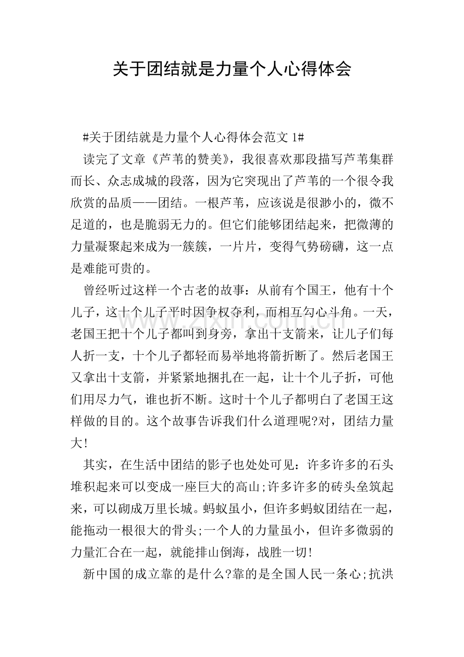 关于团结就是力量个人心得体会.doc_第1页