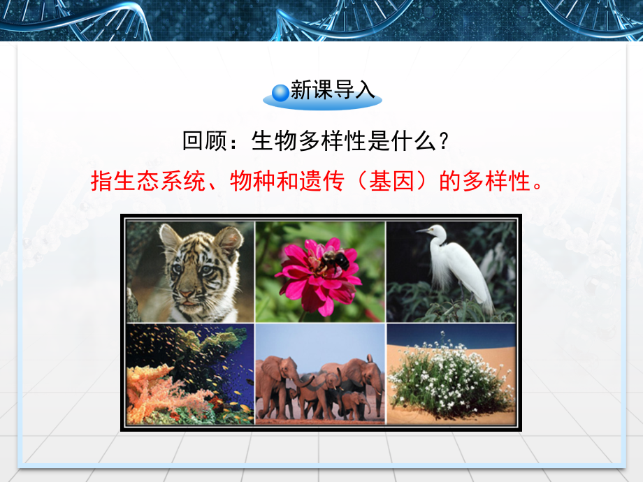 苏教版高中生物必修三11《身边的生物科学》.ppt_第2页