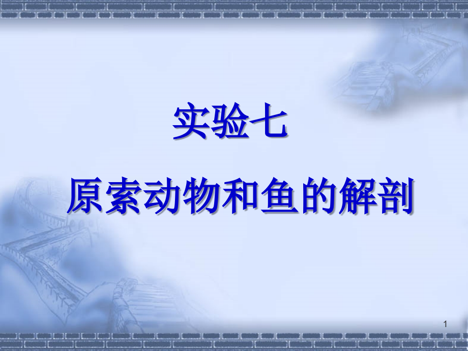 7实验七-原索动物和鱼的解剖.ppt_第1页