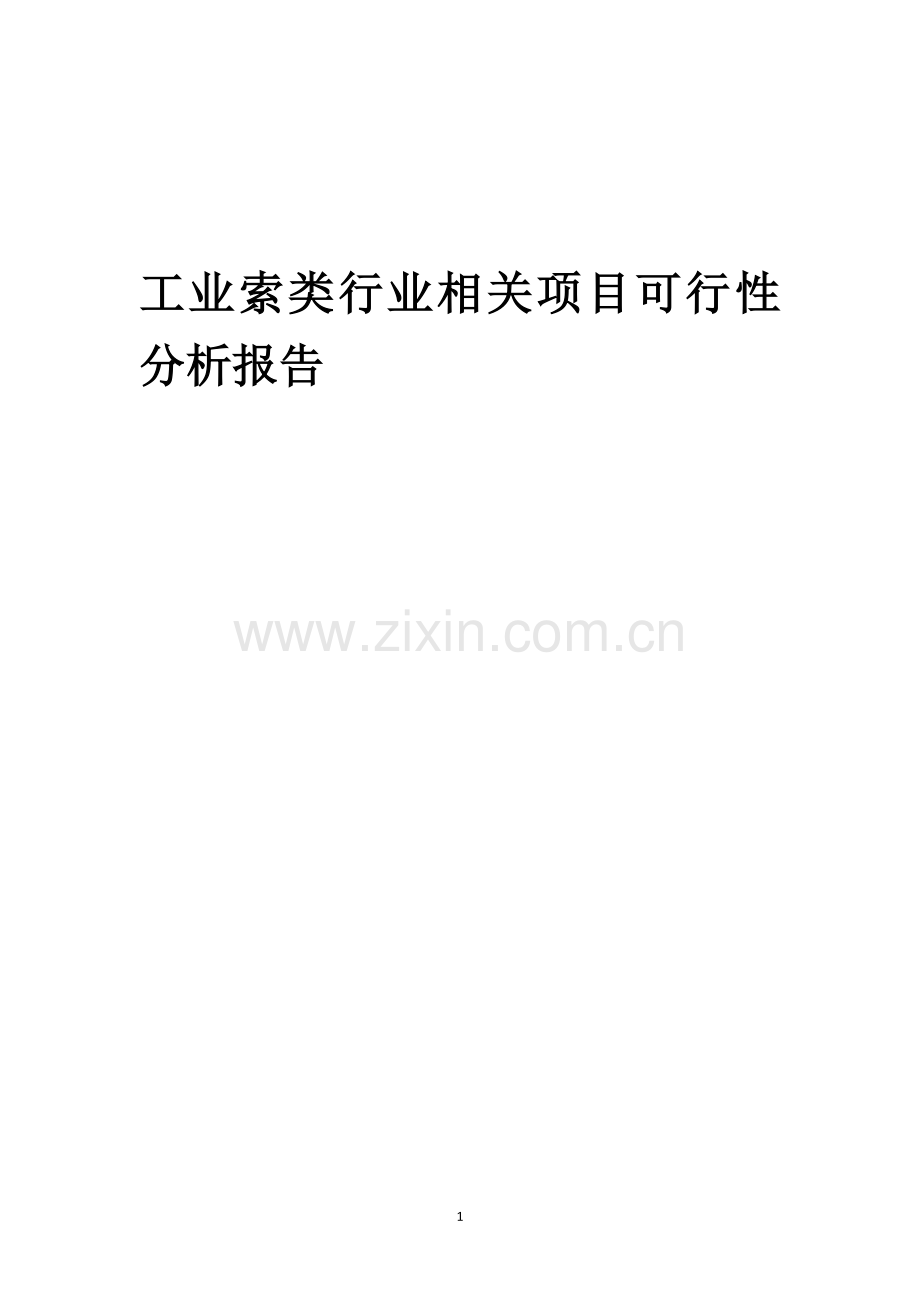 工业索类行业相关项目可行性研究报告.docx_第1页