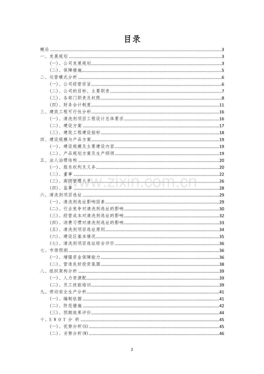 清洗剂相关项目创业计划书.docx_第2页