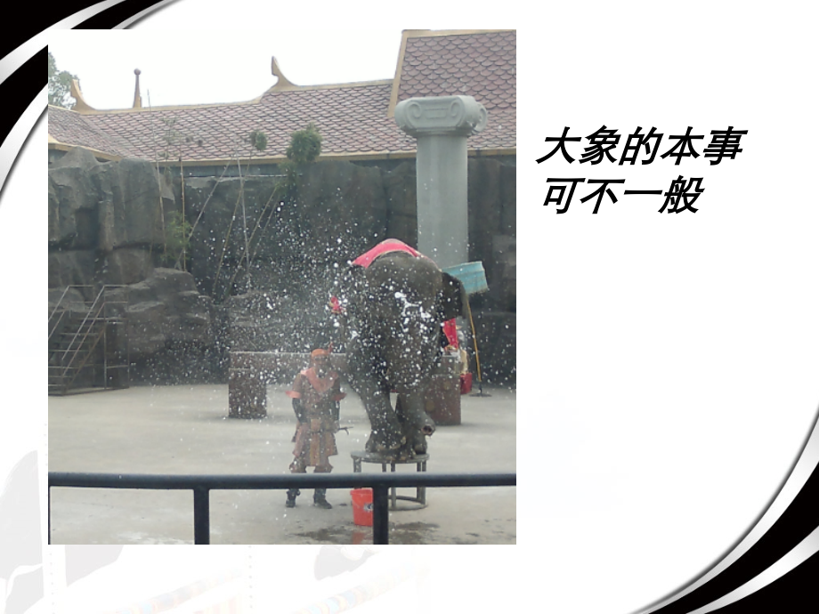 三年级语文16《绝招》.ppt_第2页