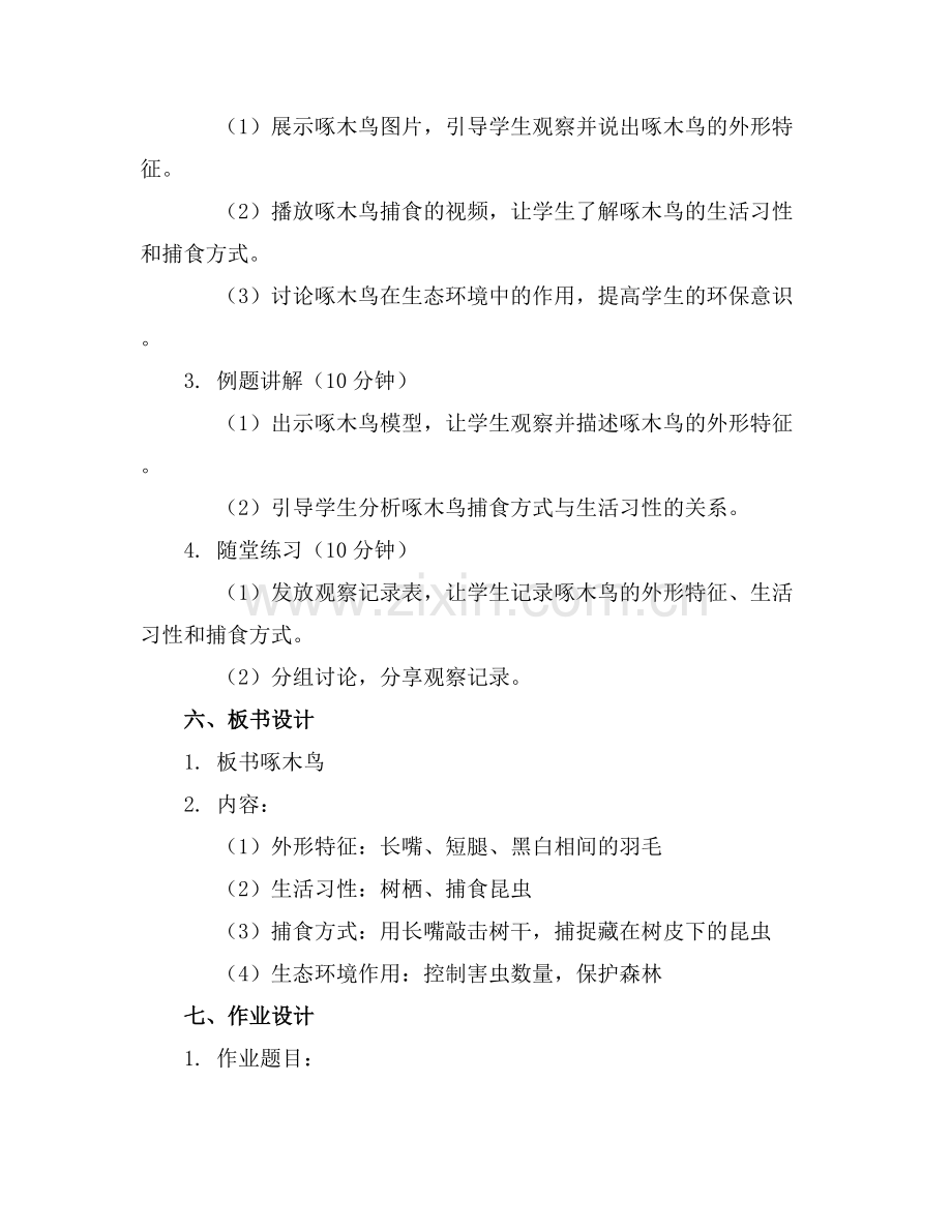 中班科学教案《啄木鸟》课件..docx_第2页