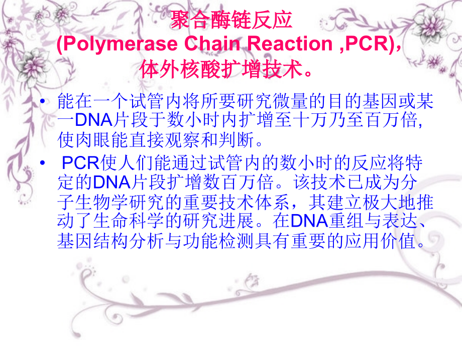 生物检测技术——PCR技术.ppt_第2页