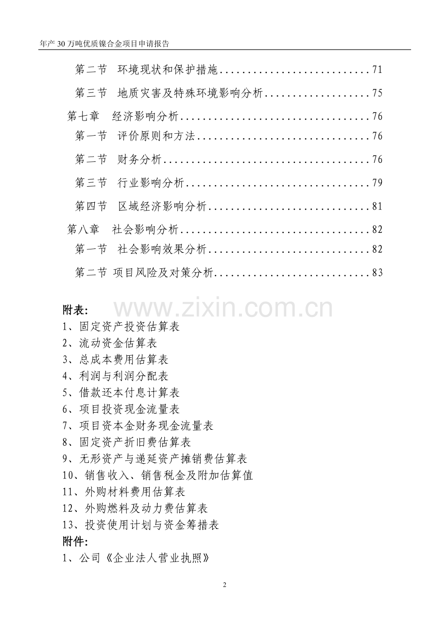 年产30万吨优质镍合金项目申请报告.doc_第2页