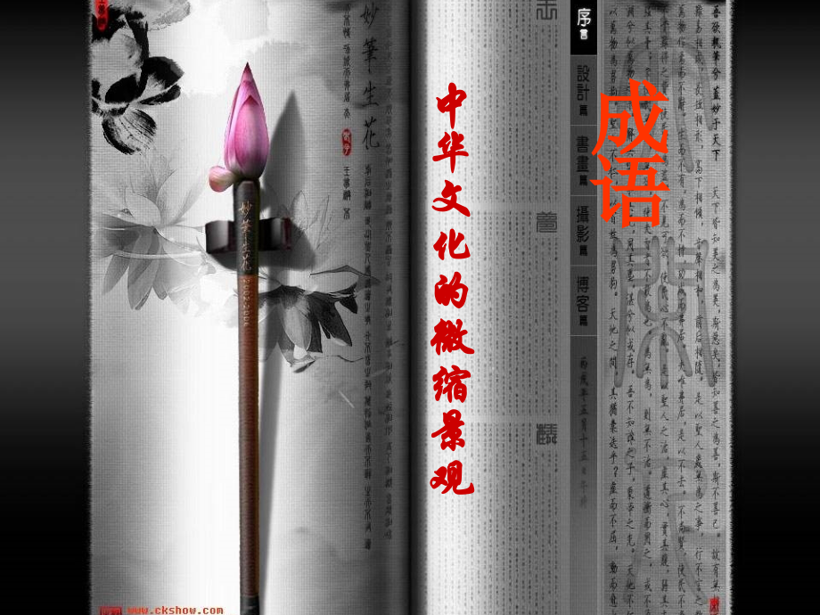 成语中华文化.ppt_第1页
