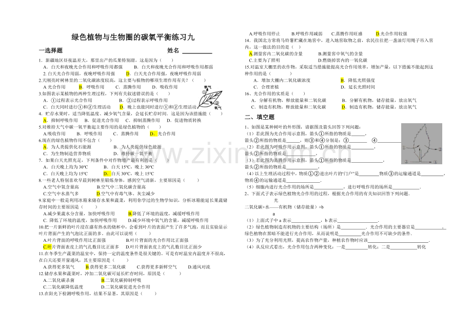 绿色植物与生物圈的碳氧平衡练习九.doc_第1页