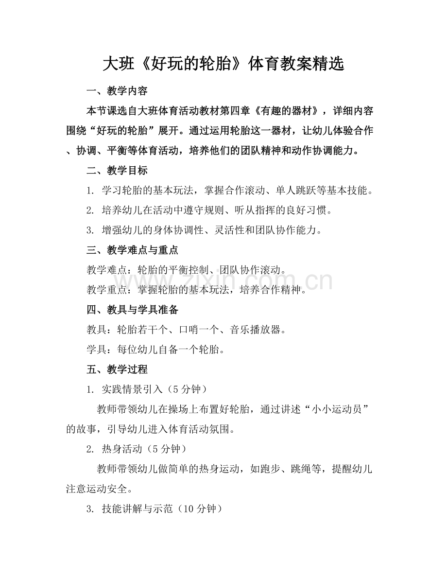 大班《好玩的轮胎》体育教案.docx_第1页