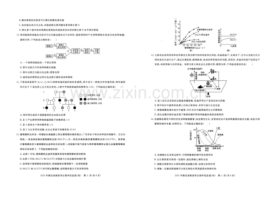 2025年湖北省新高考信息卷（四）生物.pdf_第2页