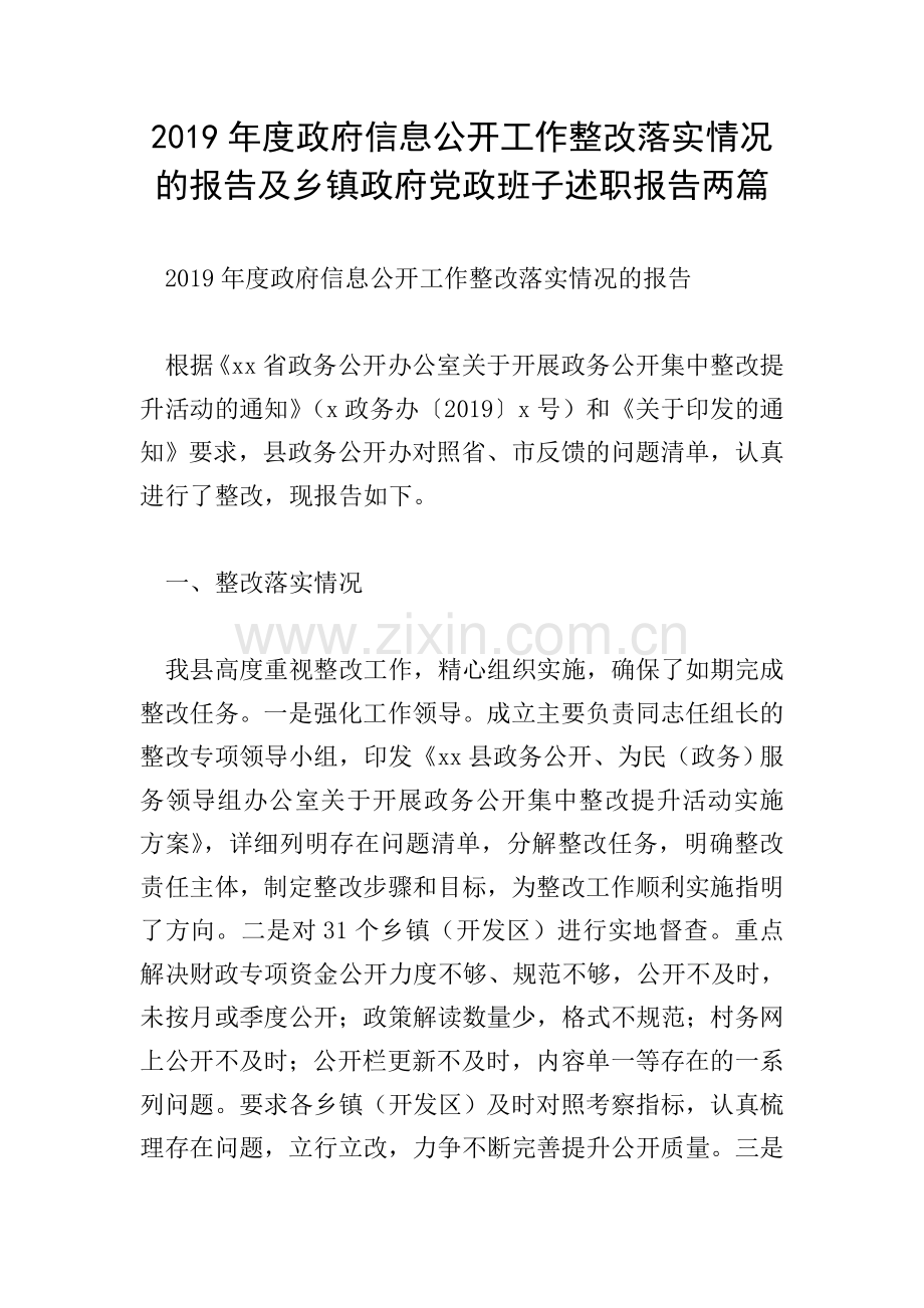 2019年度政府信息公开工作整改落实情况的报告及乡镇政府党政班子述职报告两篇.doc_第1页