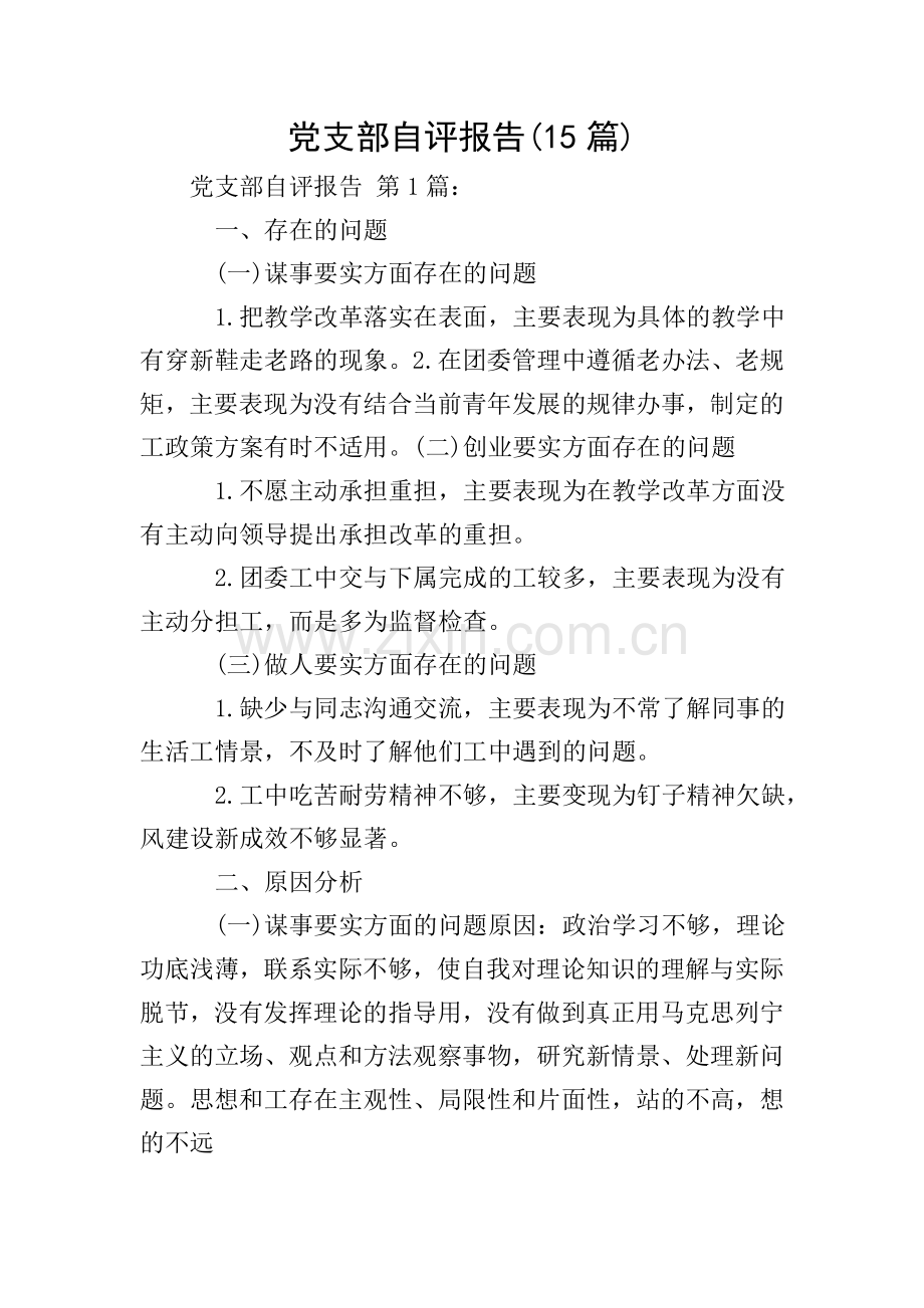 党支部自评报告(15篇).doc_第1页