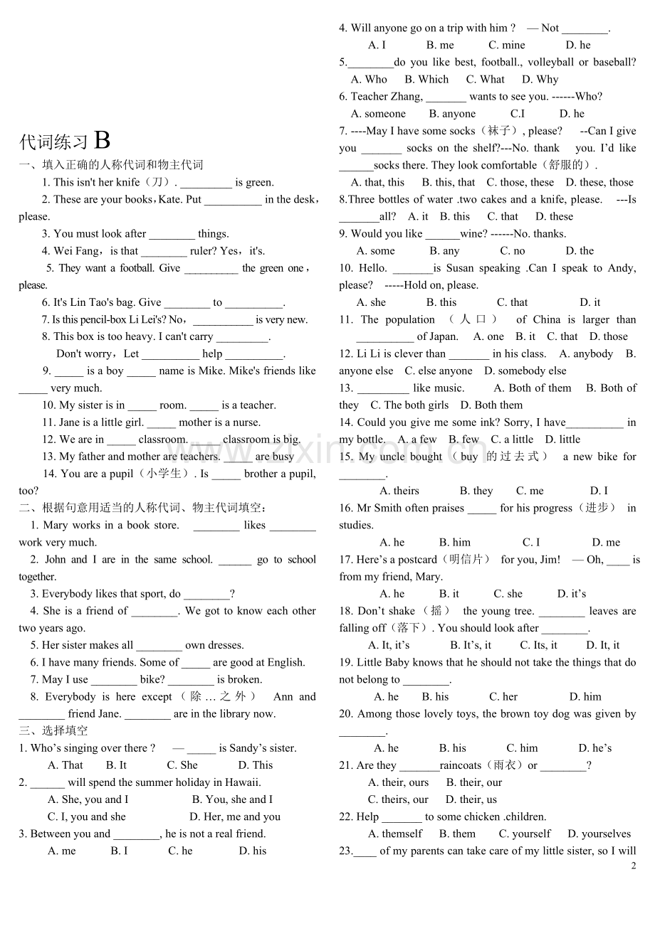 小升初英语代词练习.doc_第2页