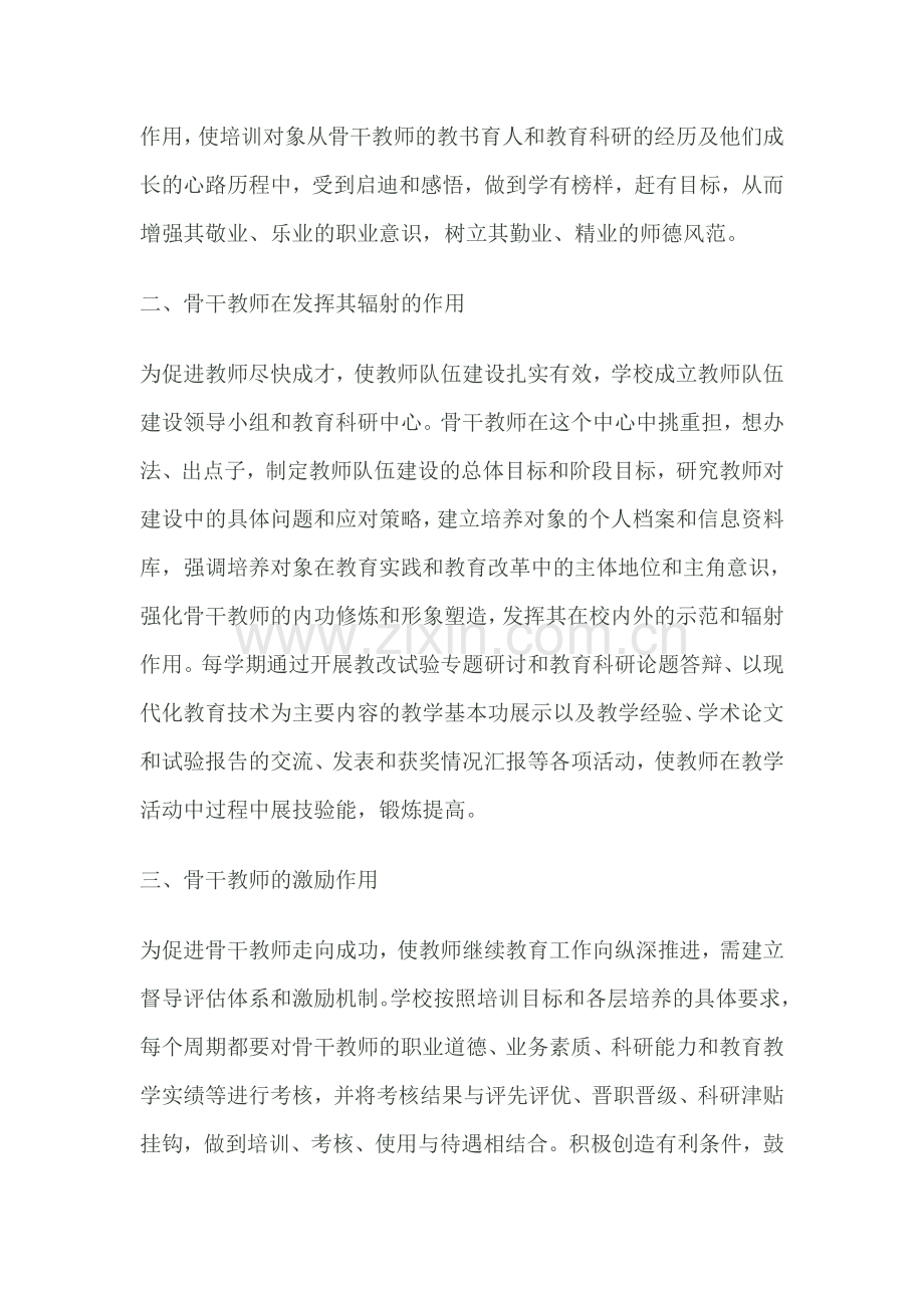 骨干教师发挥作用情况总结.doc_第2页