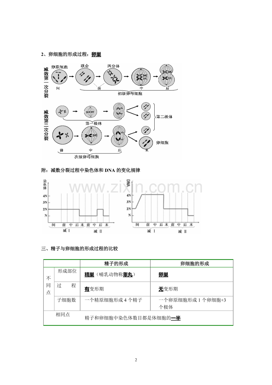 高中生物必修二知识点总结.pdf_第2页