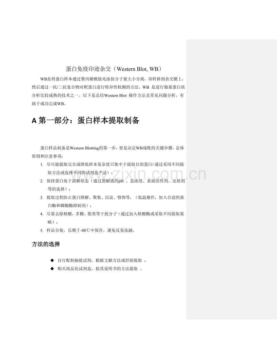 western+blotting实验操作步骤.doc_第1页