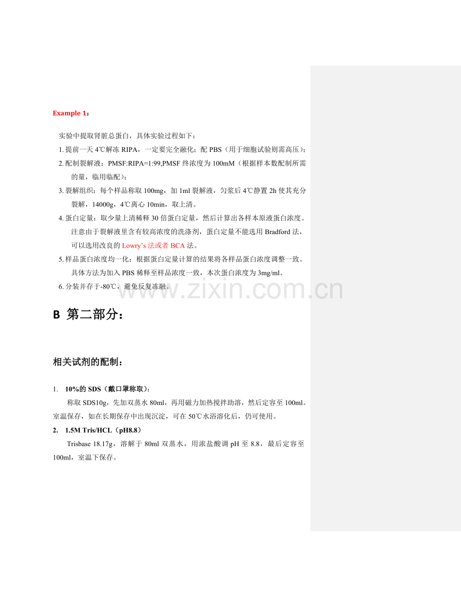 western+blotting实验操作步骤.doc_第2页