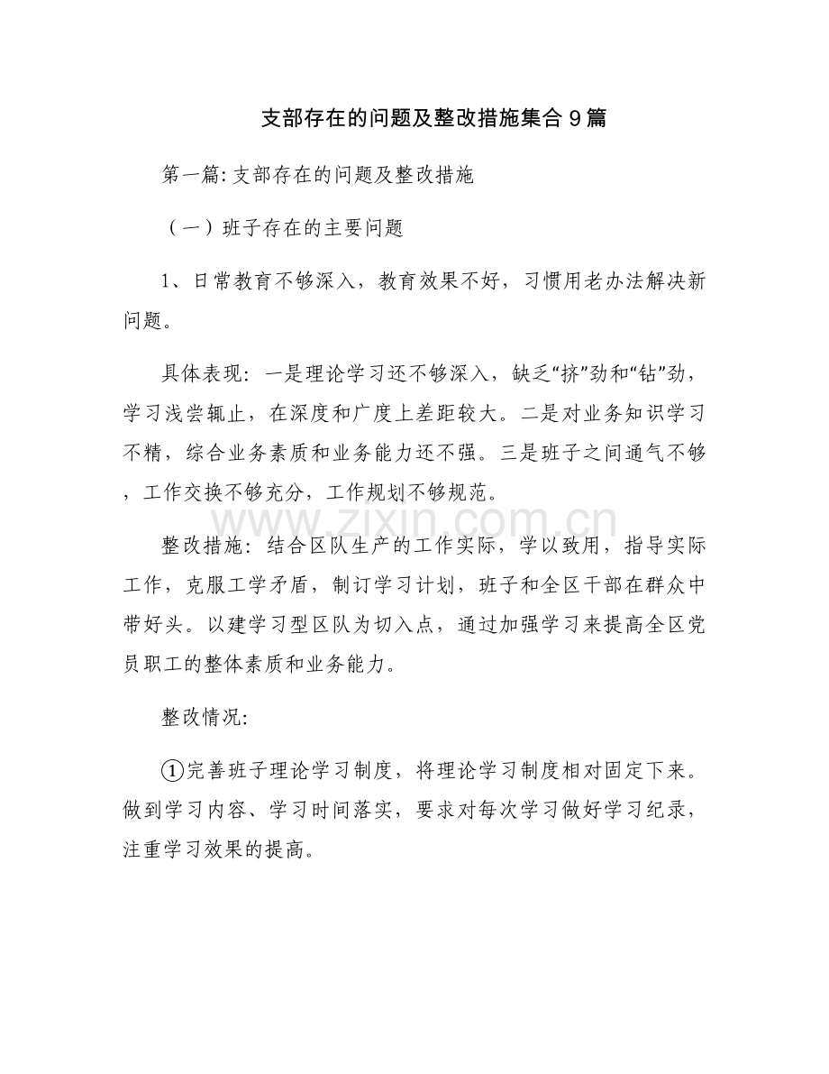 支部存在的问题及整改措施集合9篇.docx_第1页