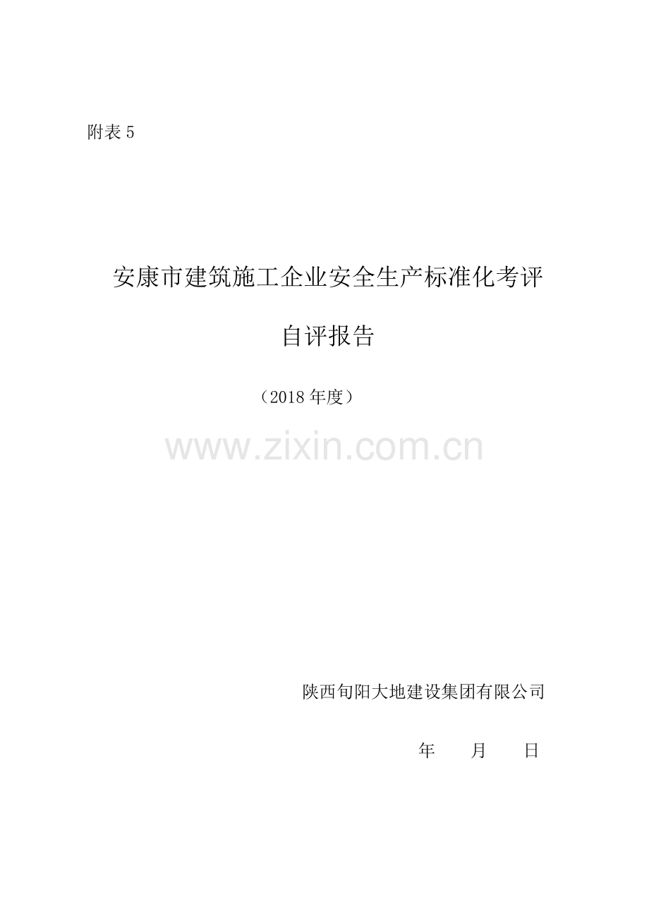 建筑施工企业安全生产标准化自评报告附表5.doc_第1页