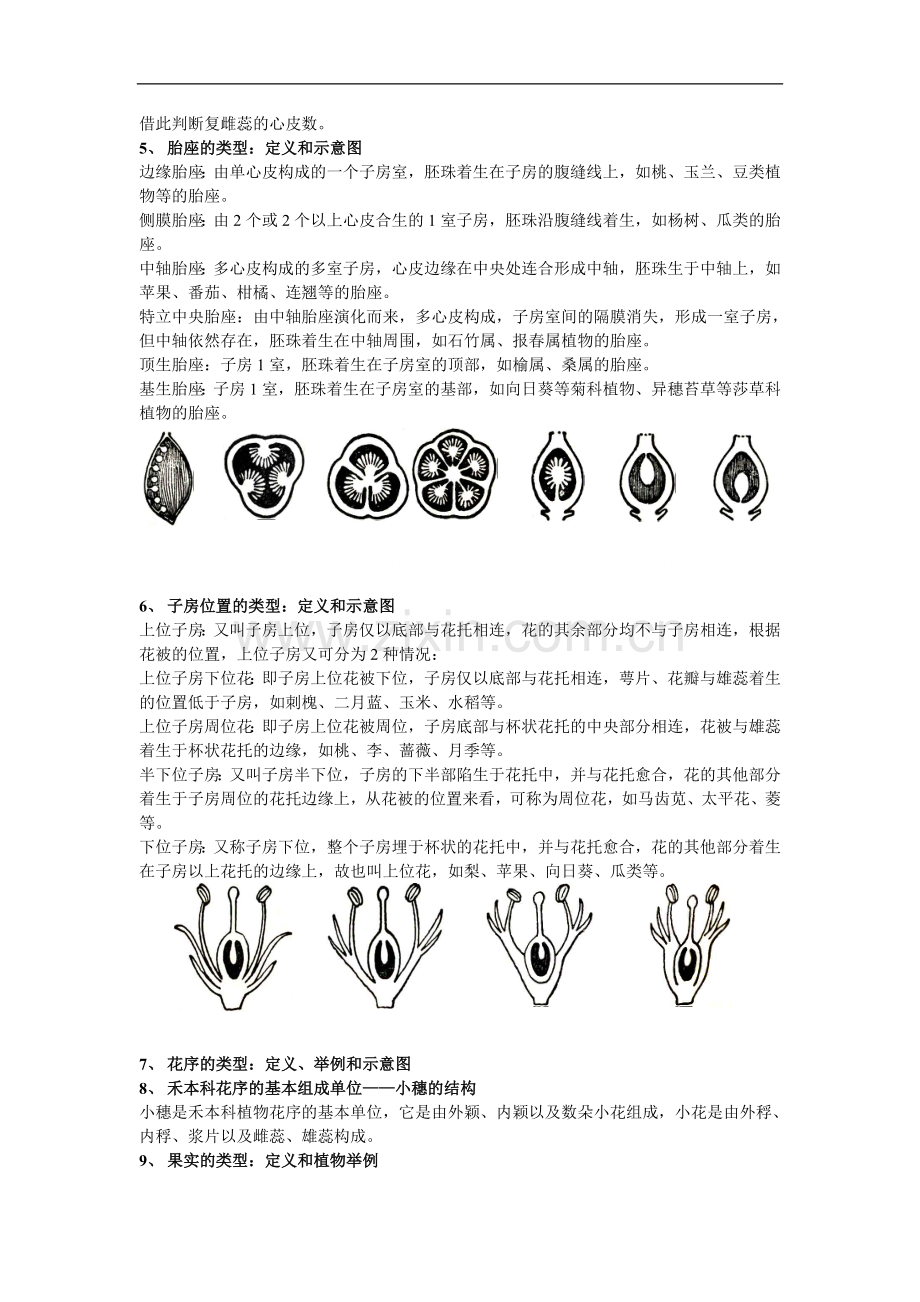 植物学被子植物分类复习提纲.doc_第2页
