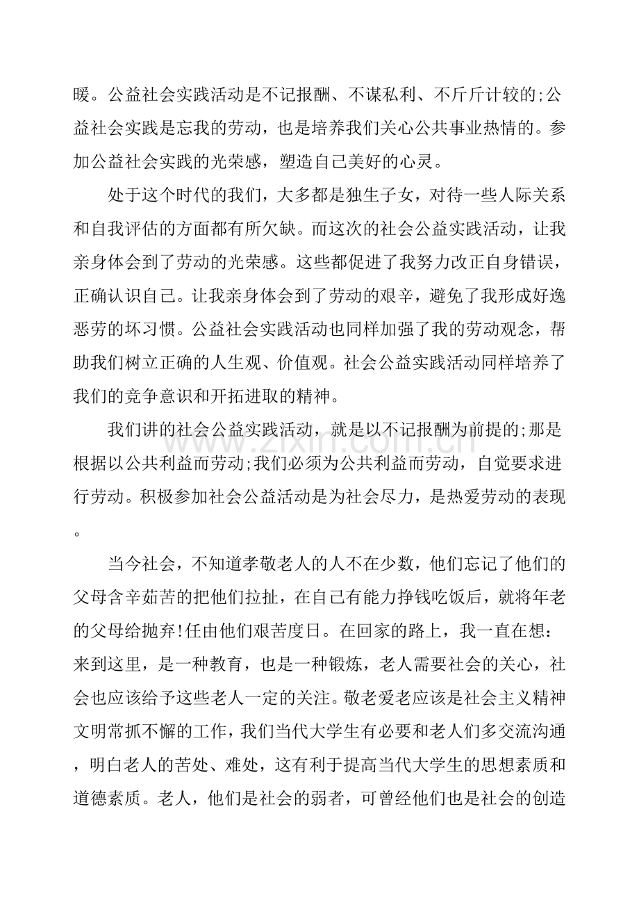 公益活动的实践活动总结及小结.doc_第2页