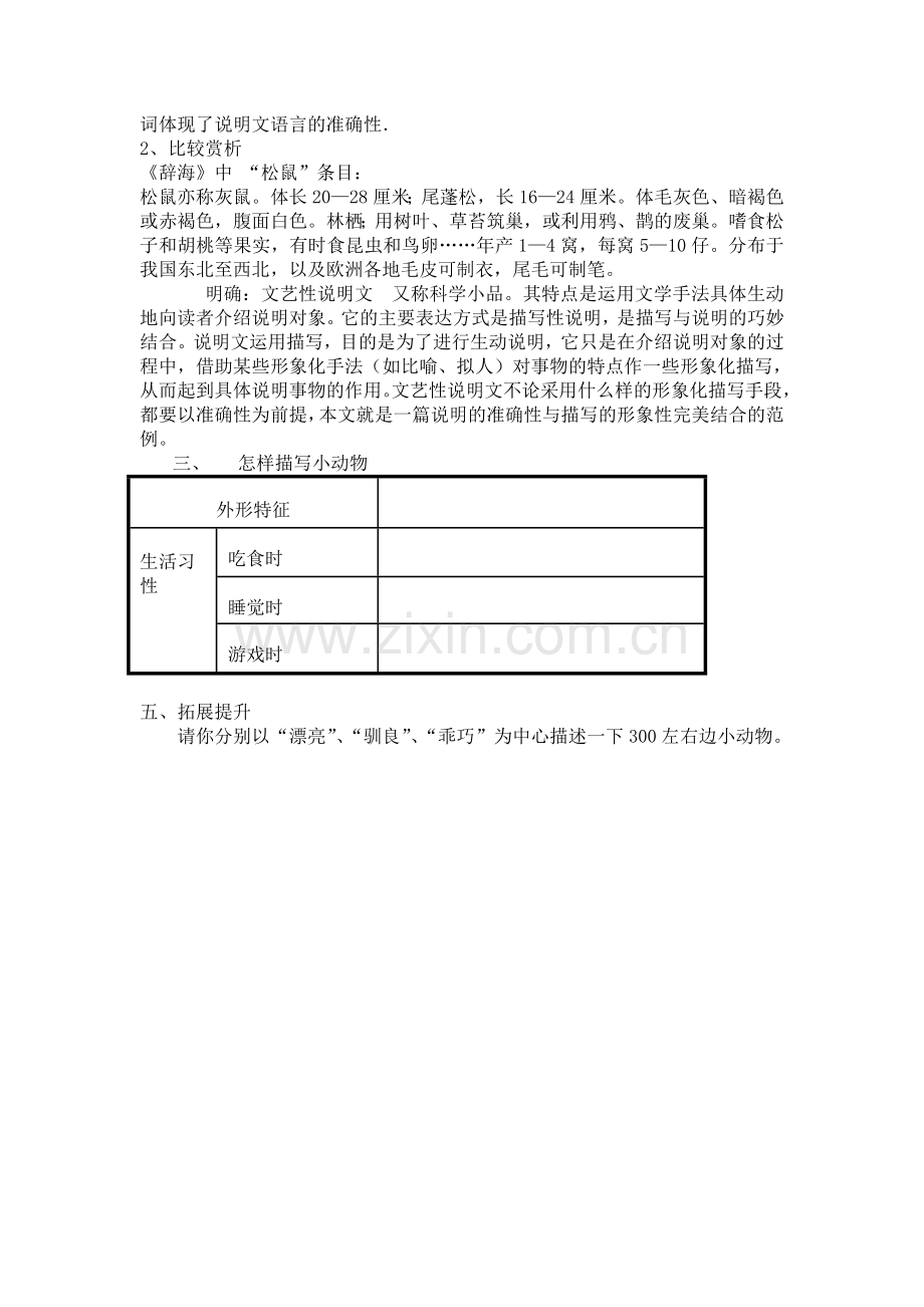 《松鼠》第二课时.doc_第2页