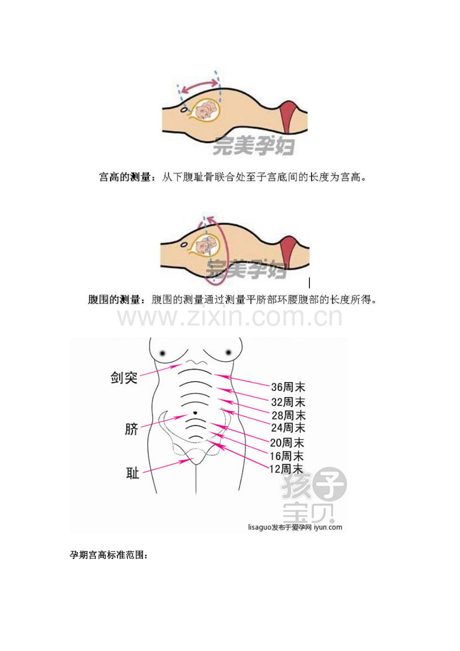 孕妇宫高腹围测量及标准.doc_第1页