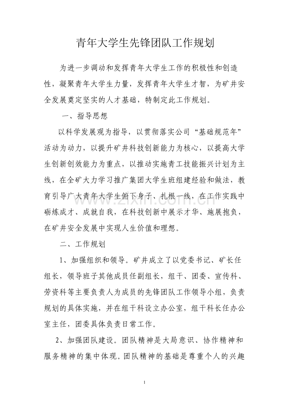 青年大学生先锋团队工作规划.doc_第1页