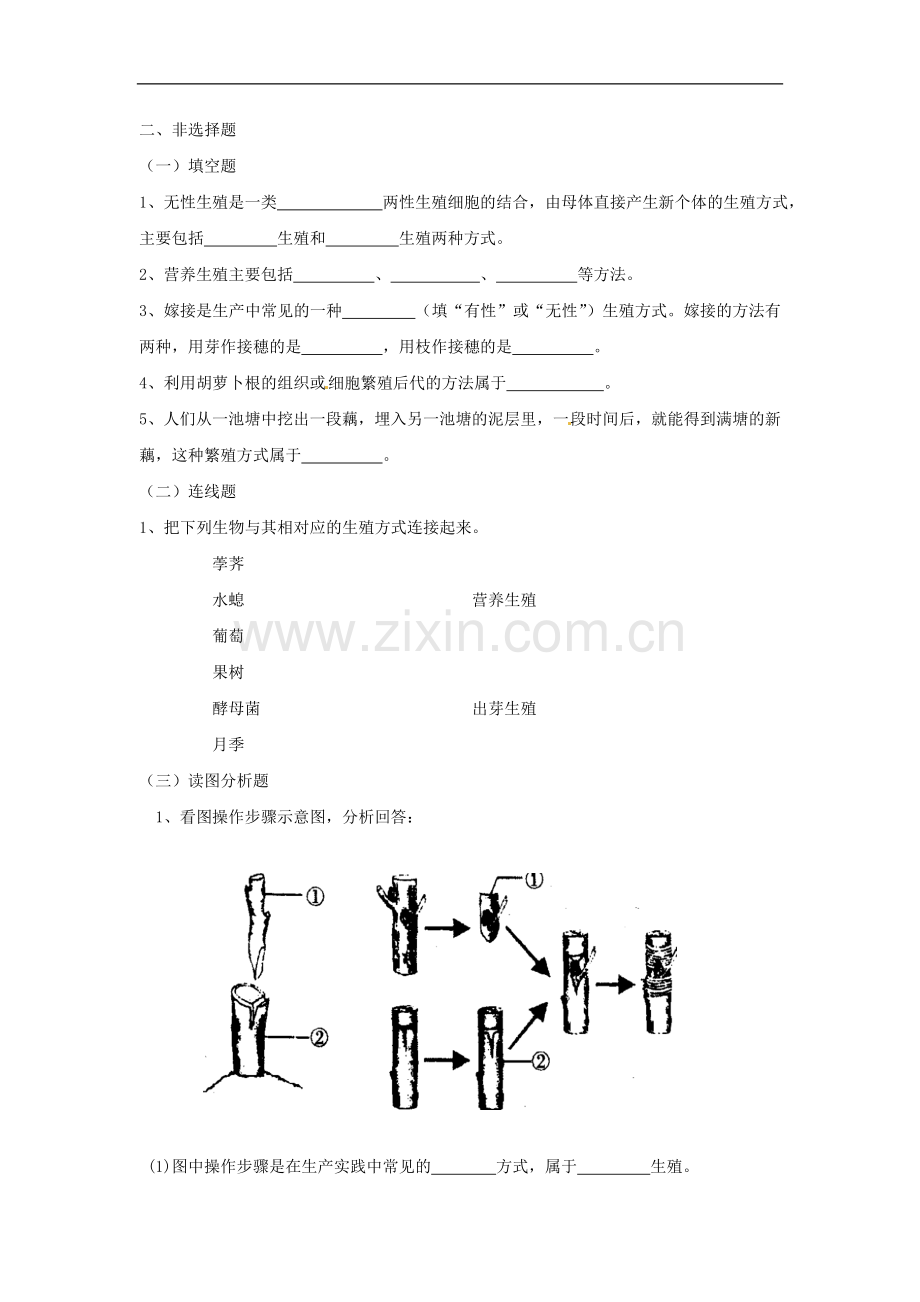 八年级生物生物的无性生殖同步练习.doc_第2页