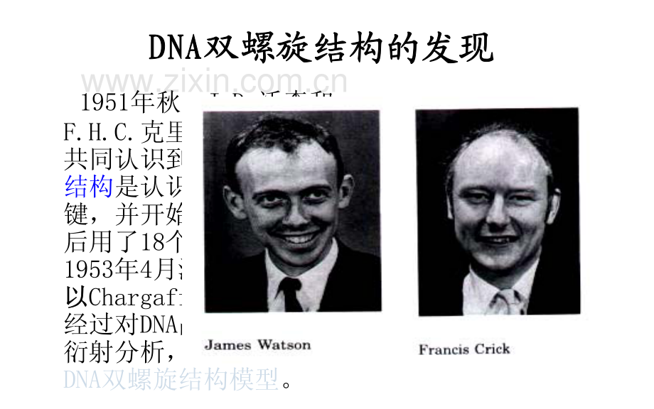 5、尚世强PCR检测技术分析前质量控制.pdf_第2页