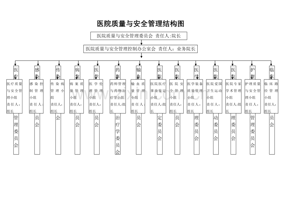 医院医疗质量管理结构图.doc_第1页