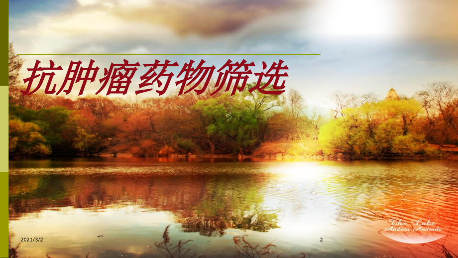 抗肿瘤药物筛选.ppt_第2页