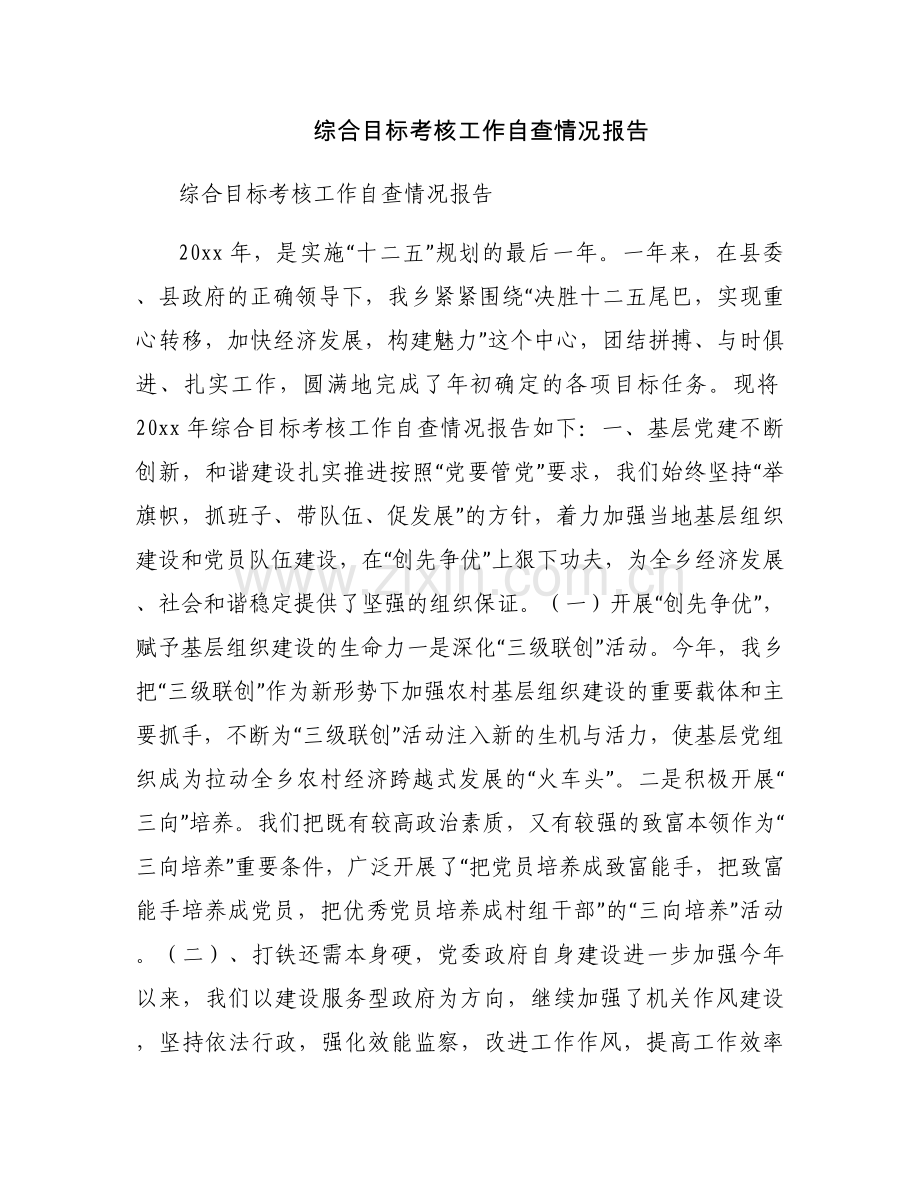 综合目标考核工作自查情况报告.docx_第1页