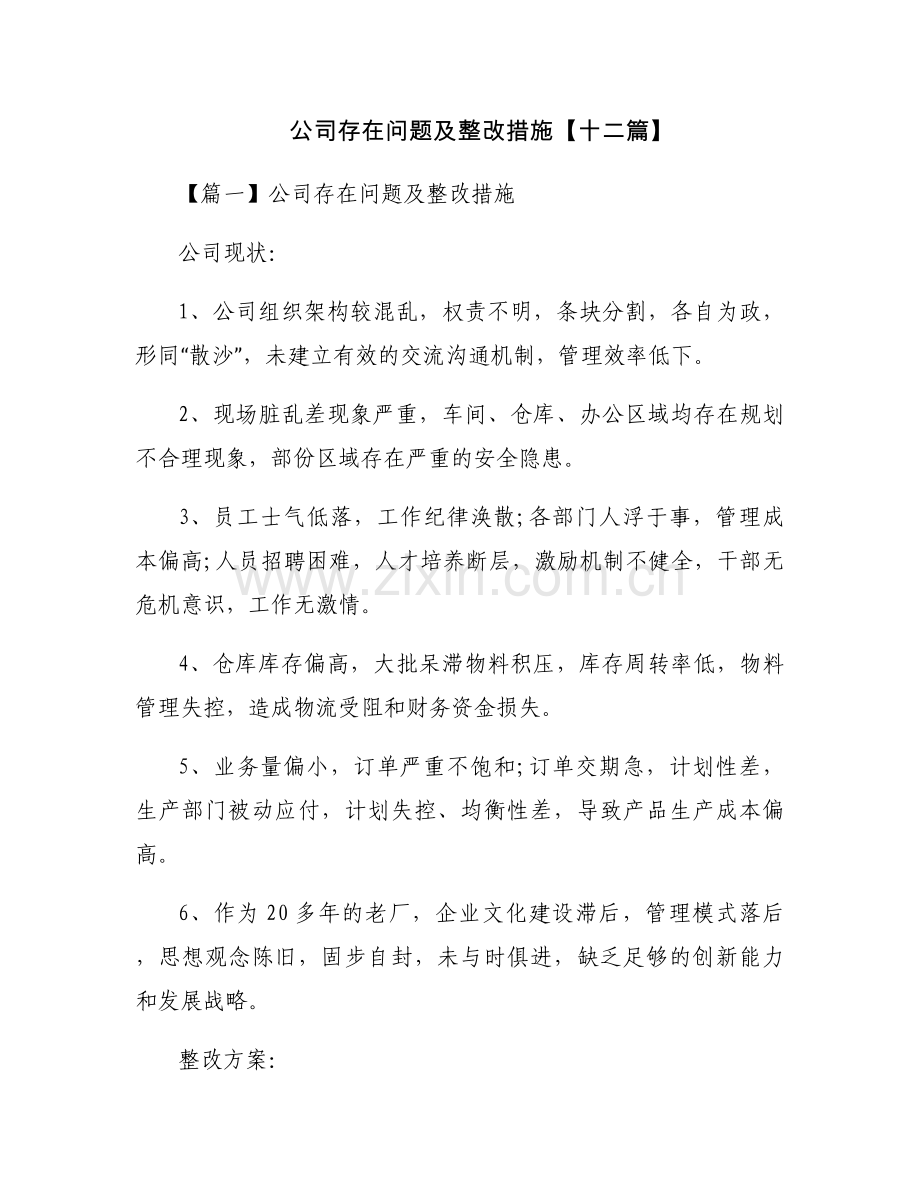 公司存在问题及整改措施【十二篇】.docx_第1页