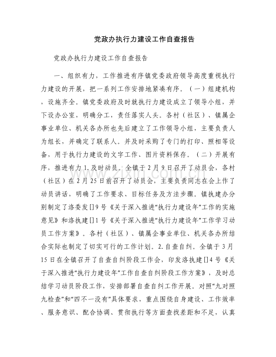 党政办执行力建设工作自查报告.docx_第1页