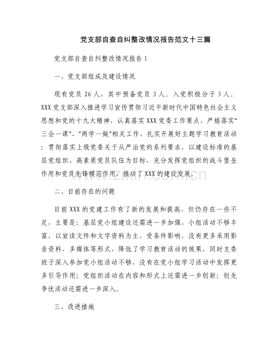 党支部自查自纠整改情况报告范文十三篇.docx_第1页