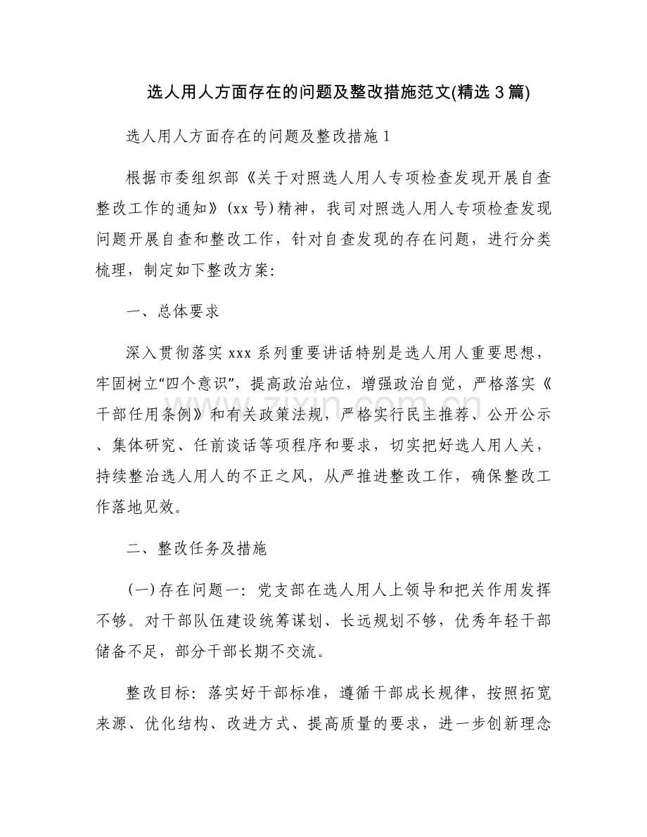 选人用人方面存在的问题及整改措施范文(3篇).docx_第1页
