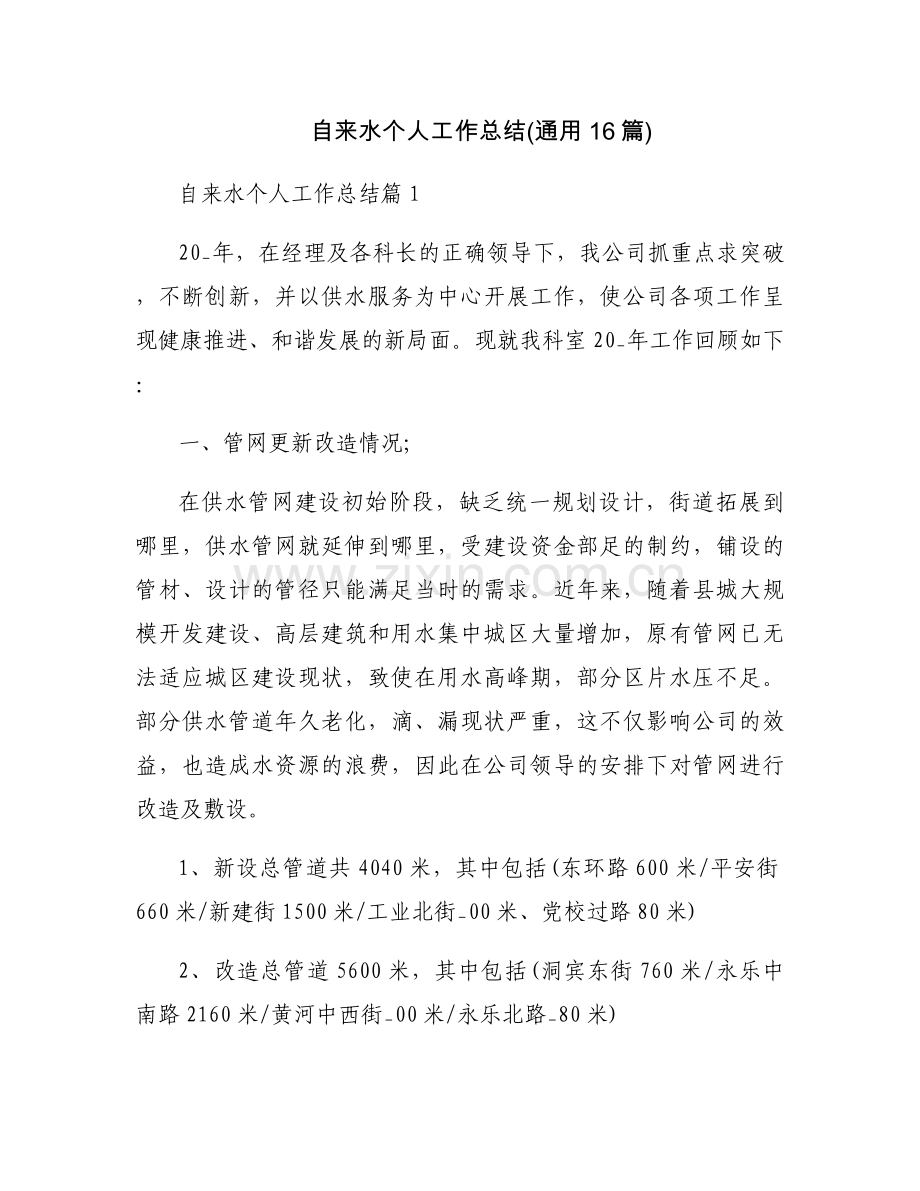 自来水个人工作总结(通用16篇).docx_第1页