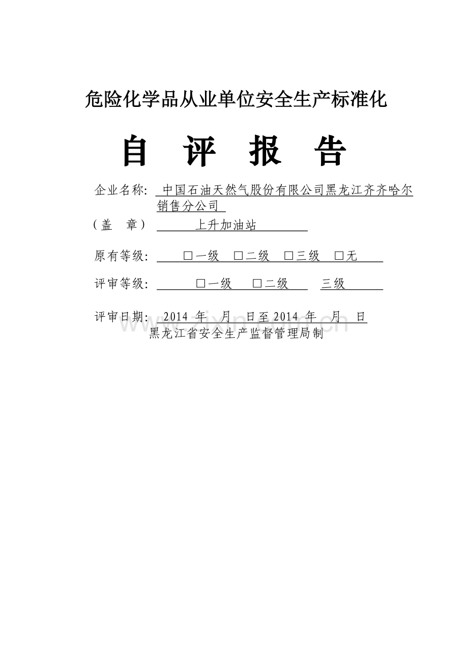 加油站自评报告.doc_第1页