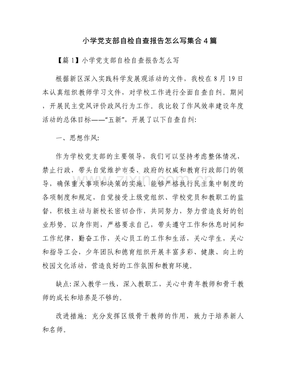 小学党支部自检自查报告怎么写集合4篇.docx_第1页