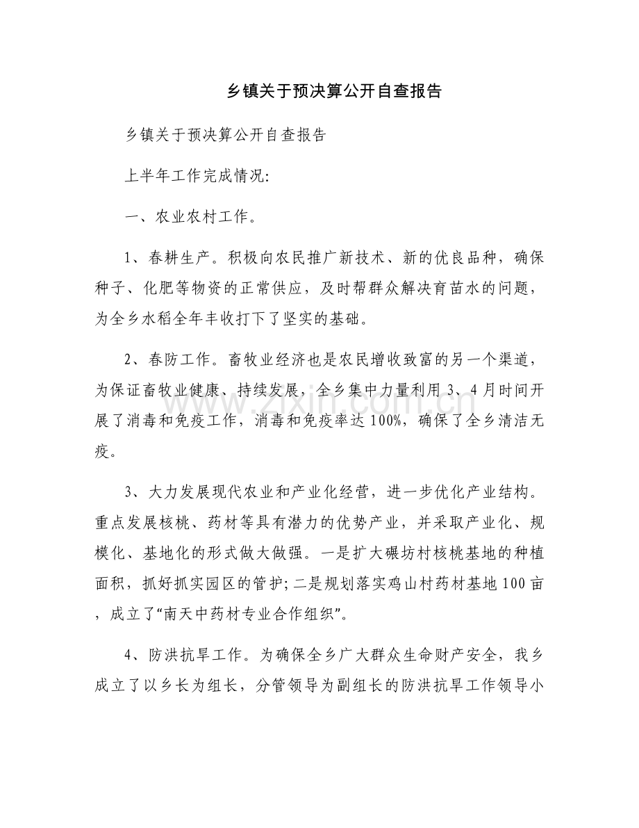 乡镇关于预决算公开自查报告.docx_第1页