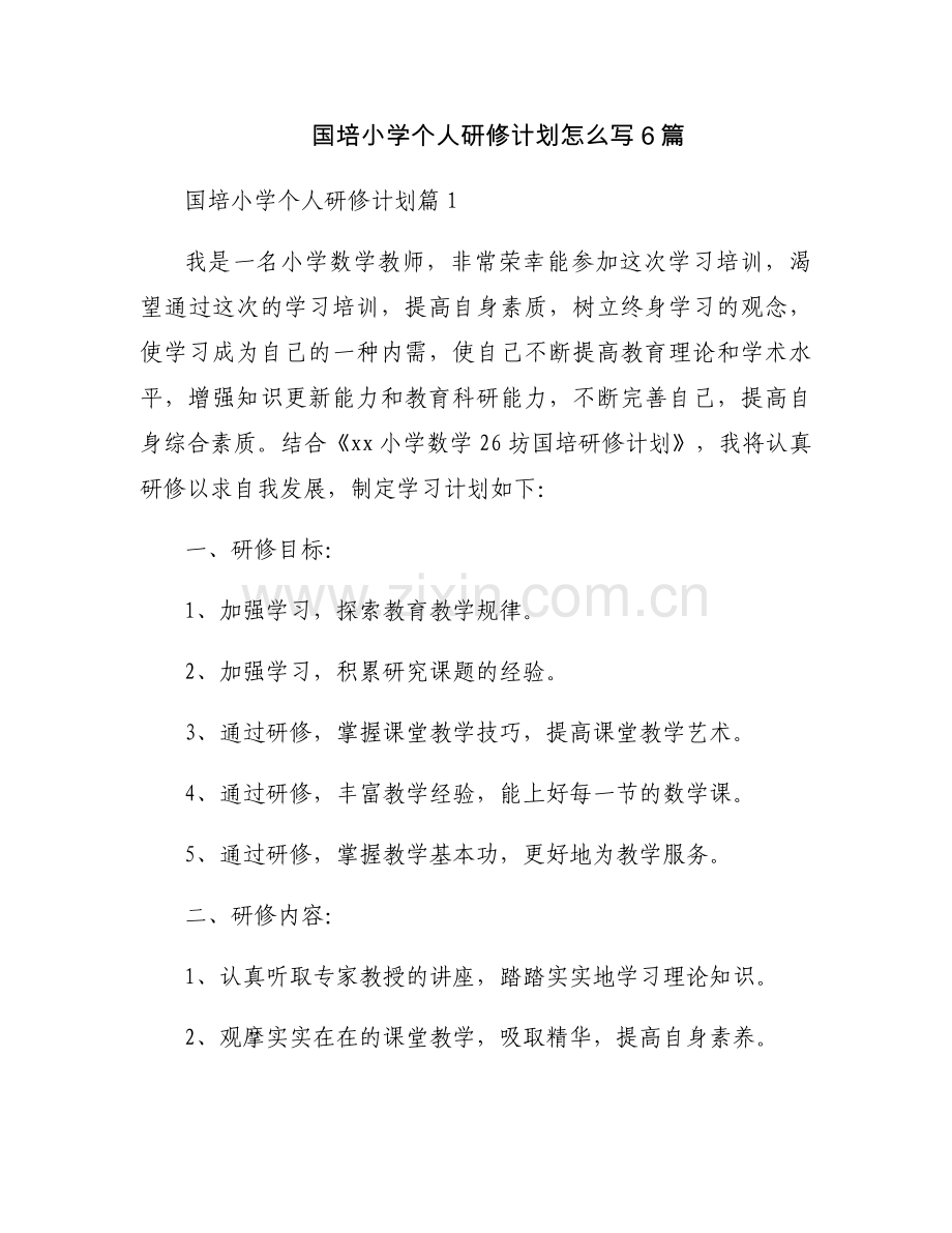 国培小学个人研修计划怎么写6篇.docx_第1页