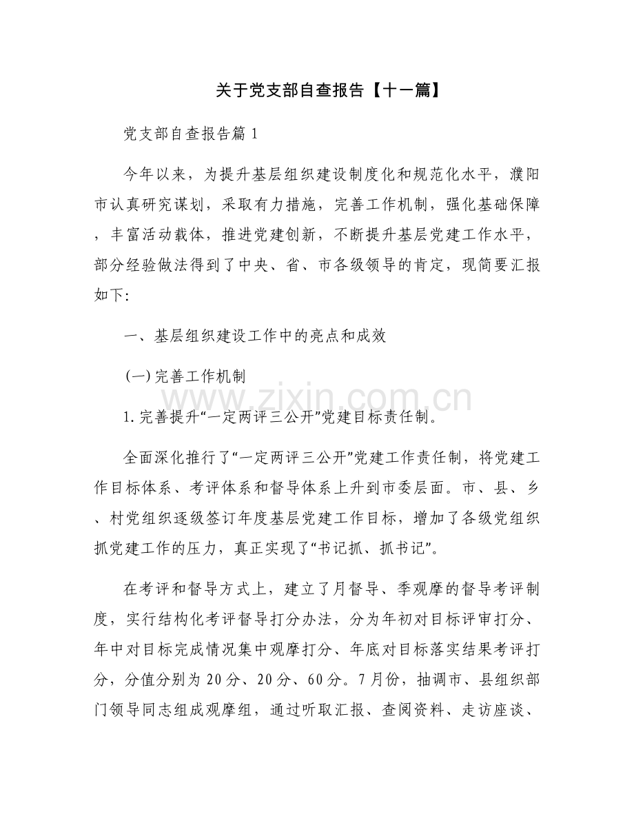 关于党支部自查报告【十一篇】.docx_第1页