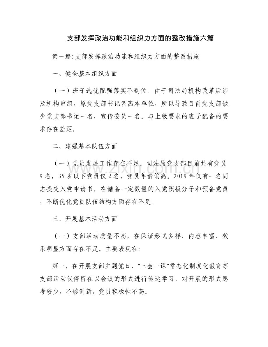 支部发挥政治功能和组织力方面的整改措施六篇.docx_第1页