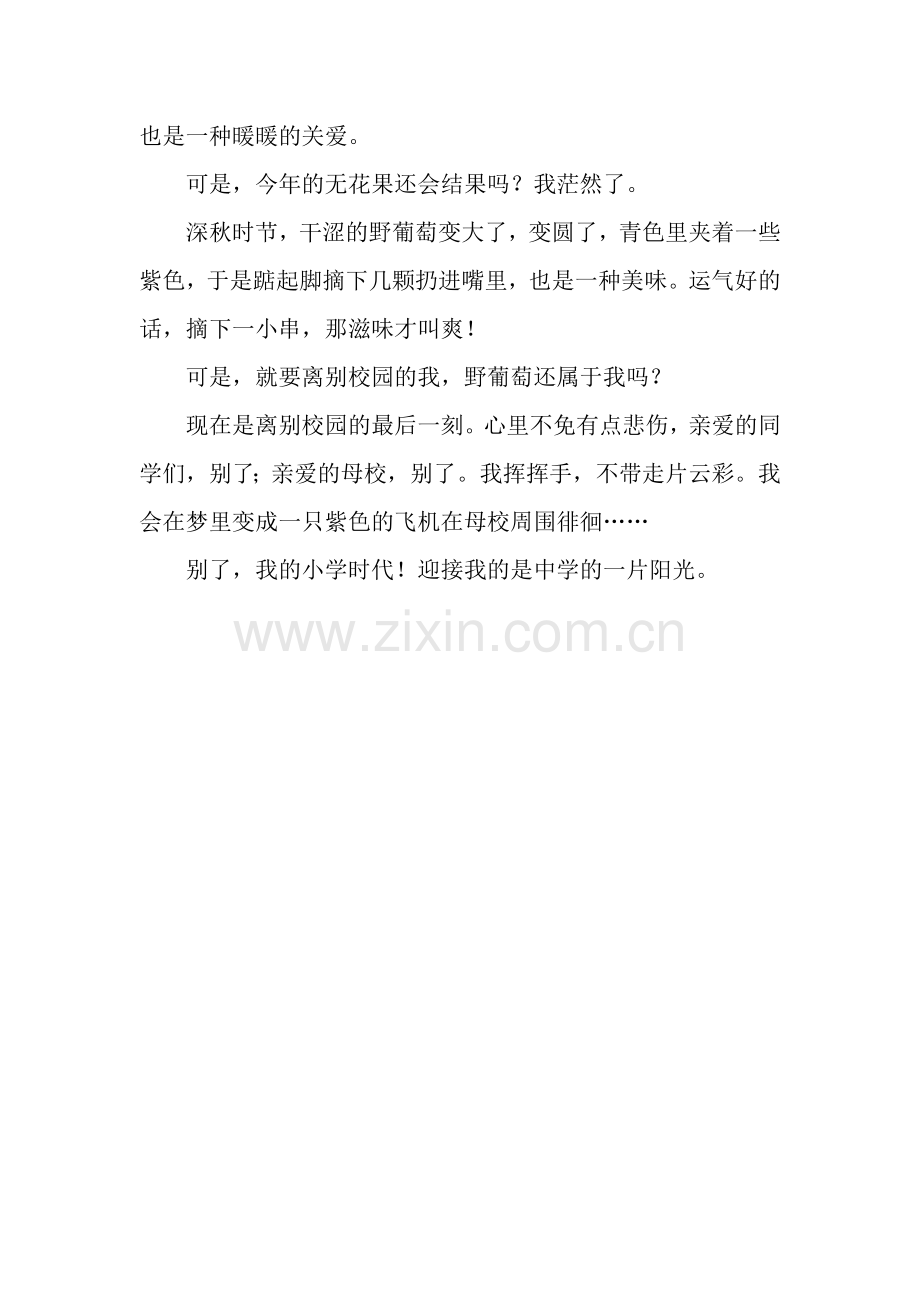 别了-我的小学时代.docx_第2页