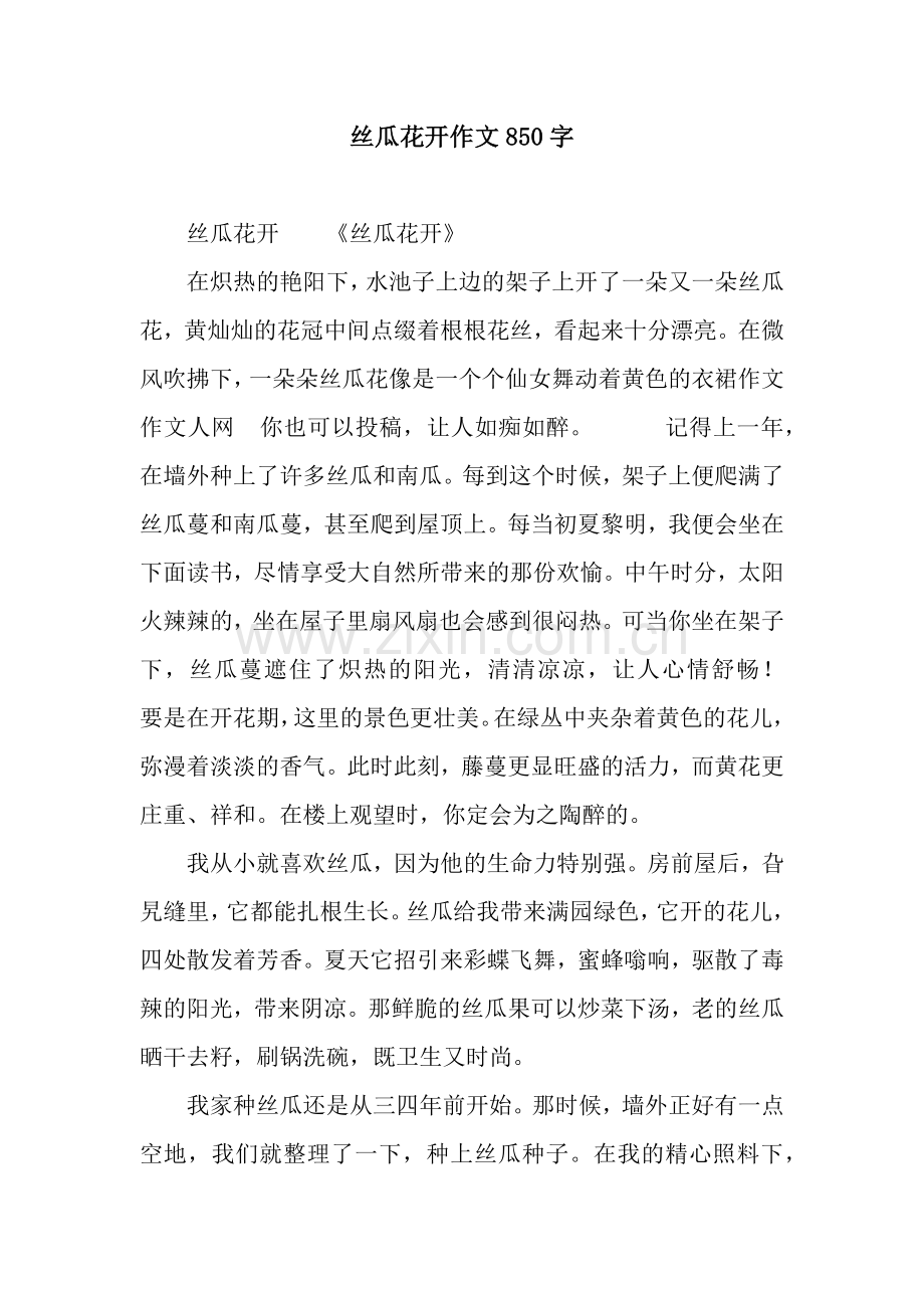 丝瓜花开作文850字.docx_第1页