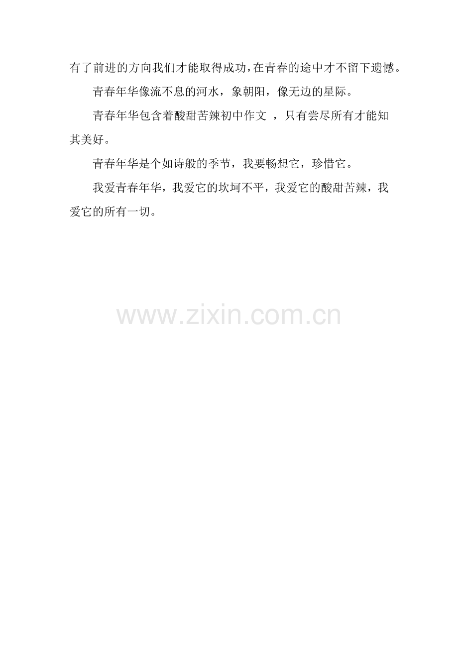 青春年华作文600字.docx_第2页