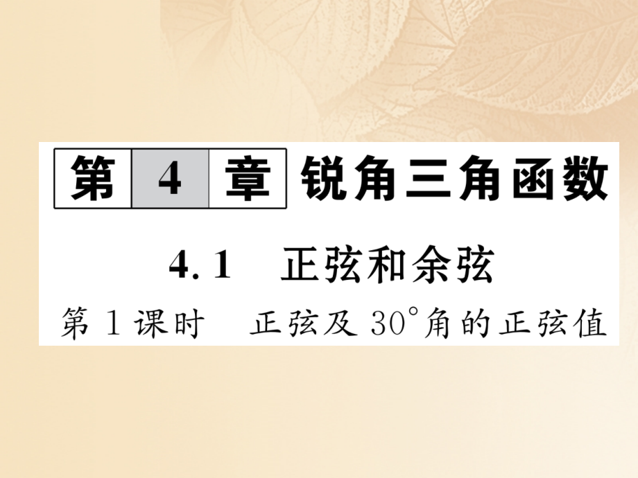 九年级数学上册4.1正弦和余弦第一课时正弦及30°角的正弦值作业讲义湘教版.ppt_第1页