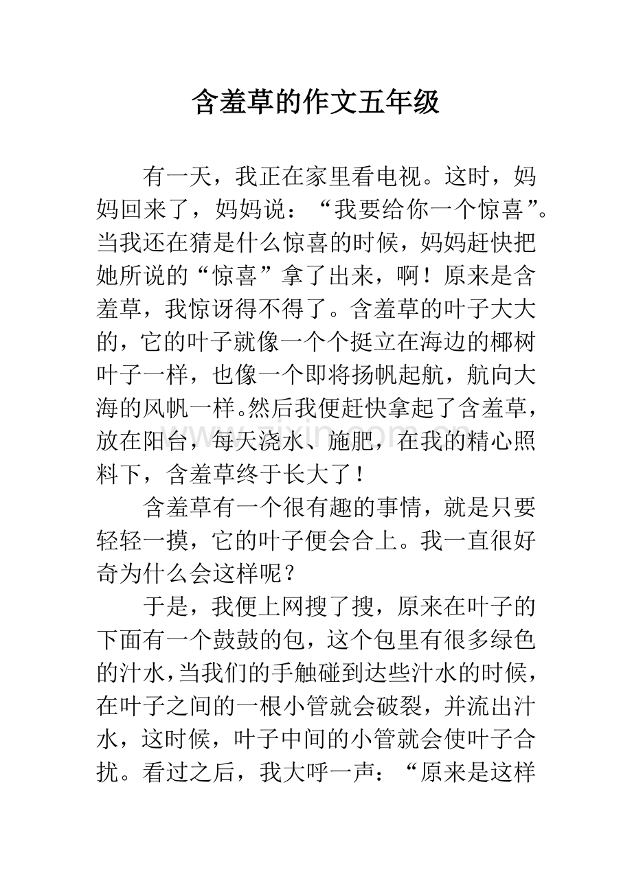 含羞草的作文五年级.docx_第1页